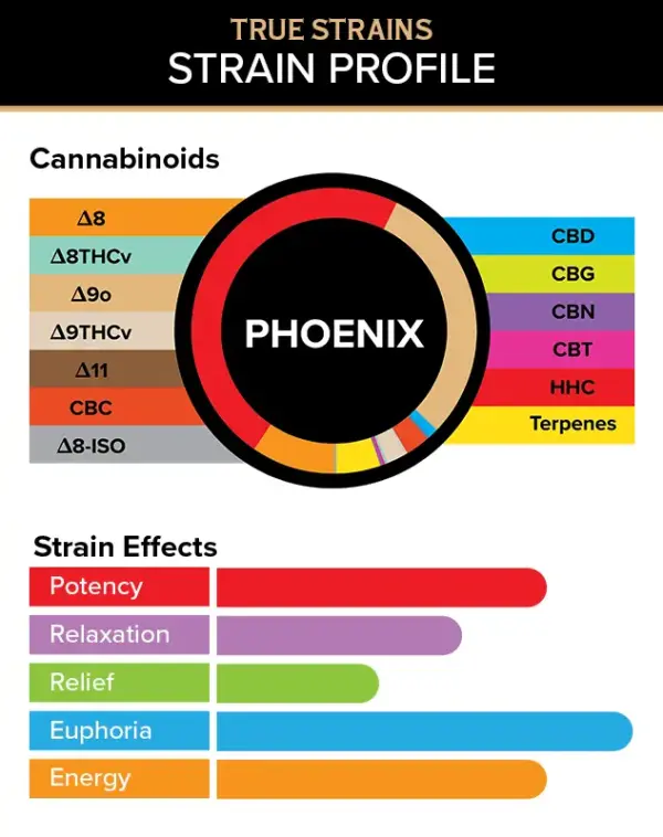3CHI | True Strains Phoenix THC Vape | Sativa – 3g Disposable Vape - Image 2