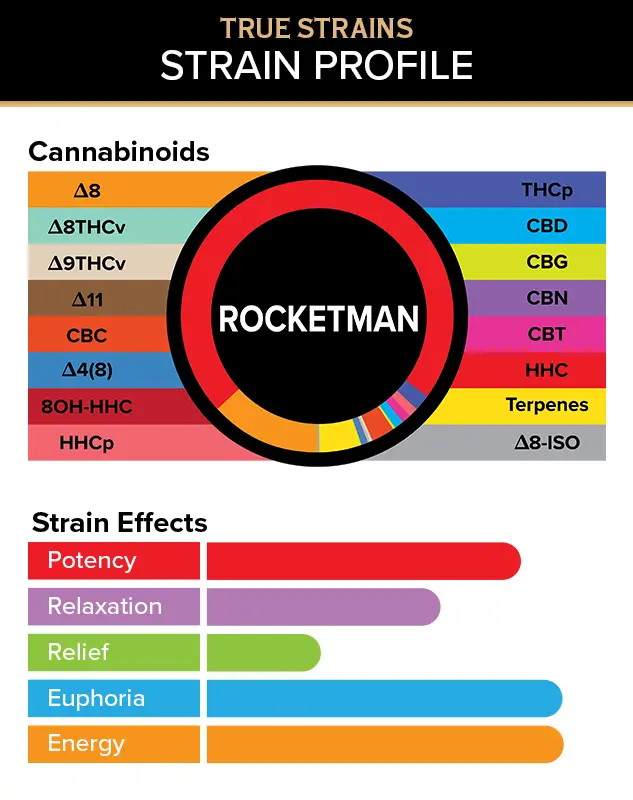 3CHI | True Strain Rocket Man THC Vape | Sativa – 3g Disposable Vape - Image 2